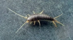 Jak pozbyć się mokra w łazience